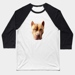 American Bully Pitbull Dog Baseball T-Shirt